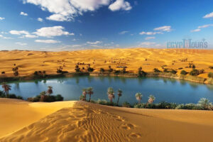 Descriptive view of a lush oasis with a blue lake and palm trees surrounded by massive golden sand dunes in the Egyptian Western Desert.
