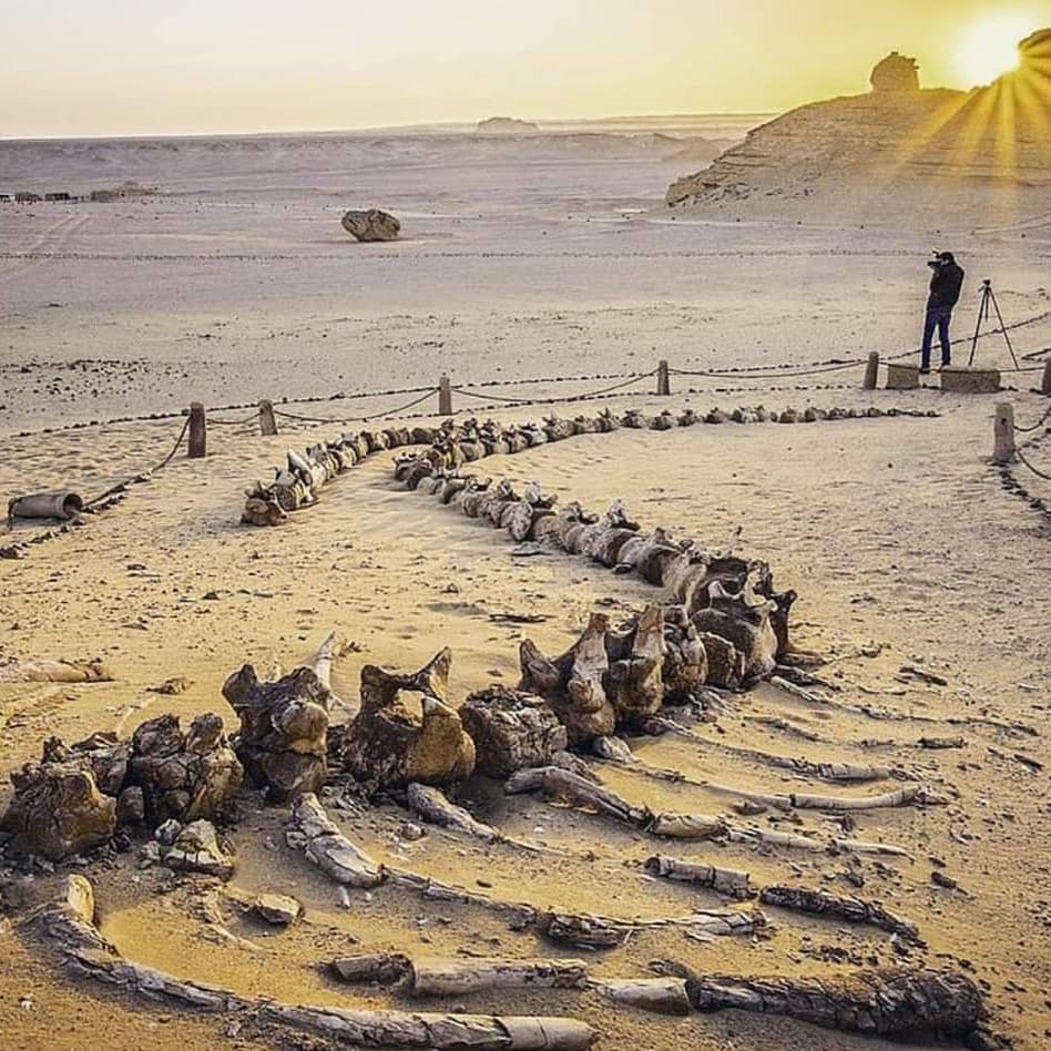 Fayoum