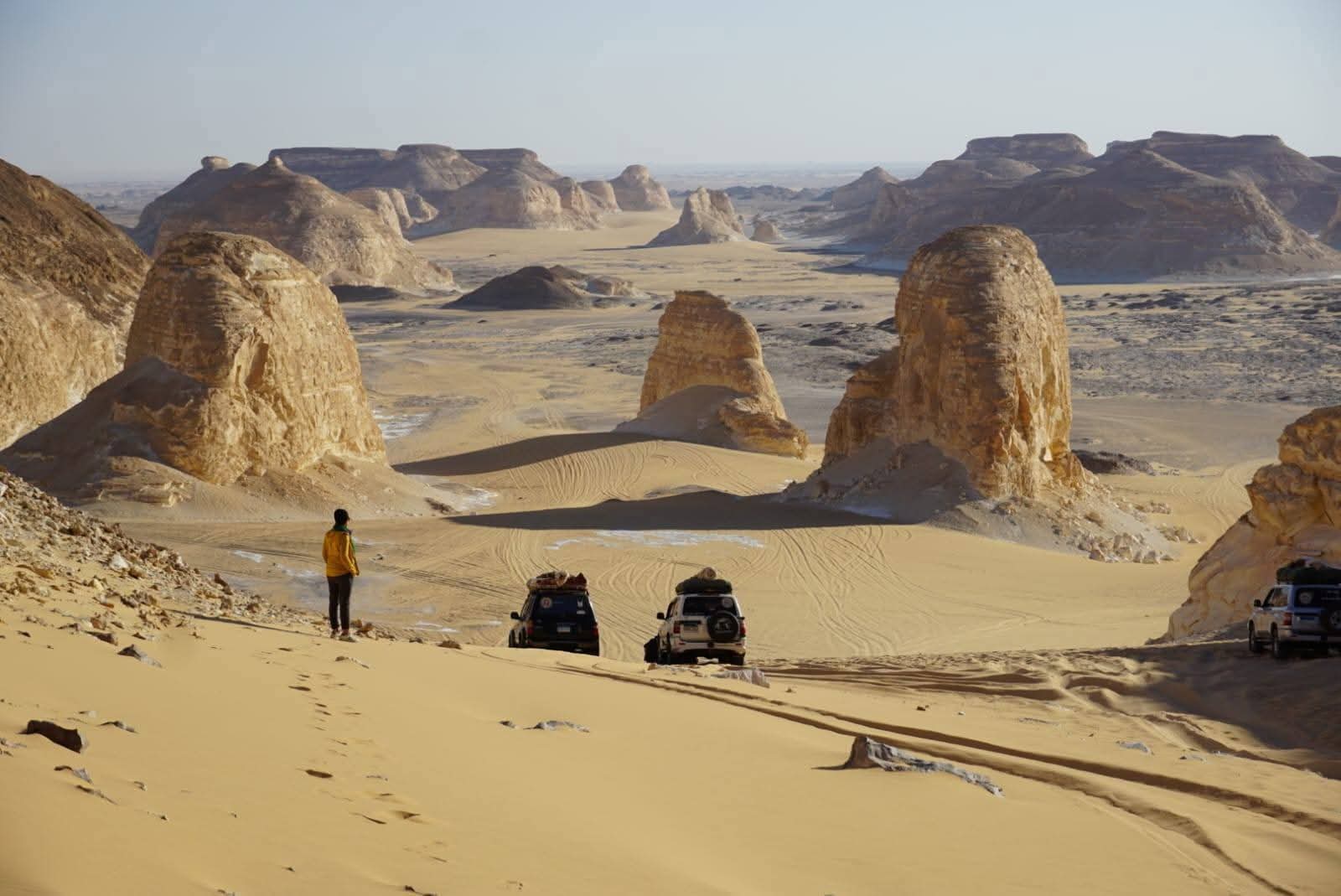 The White Desert
