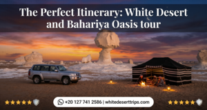 White Desert and Bahariya Oasis tour