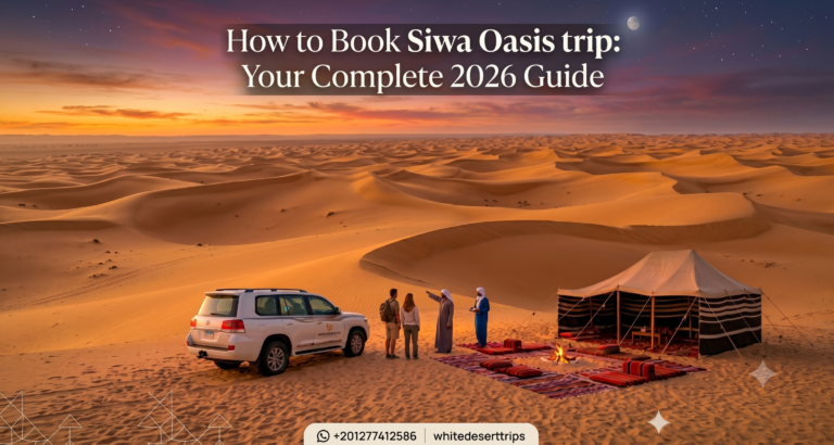 Book Siwa Oasis trip