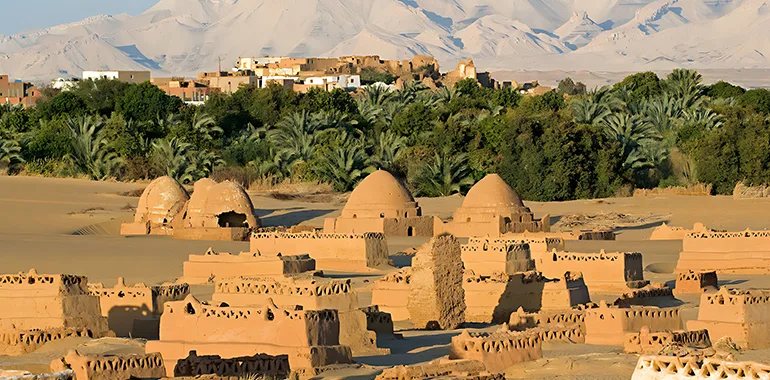 Green Oasis in the Desert