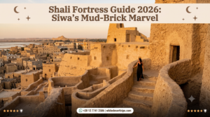 Shali Fortress
