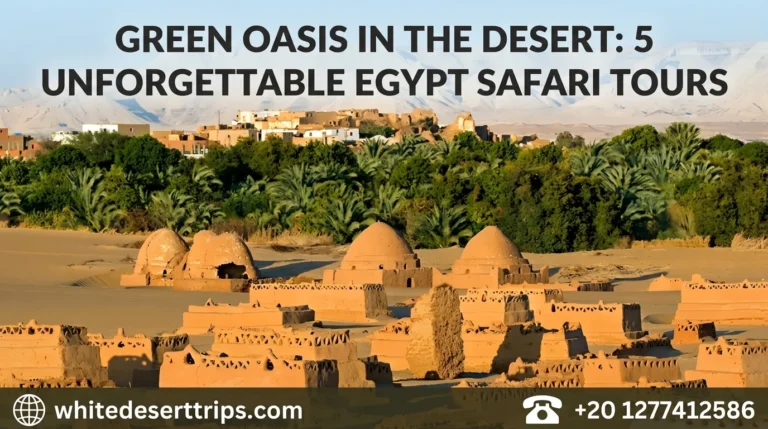 Green Oasis in the Desert