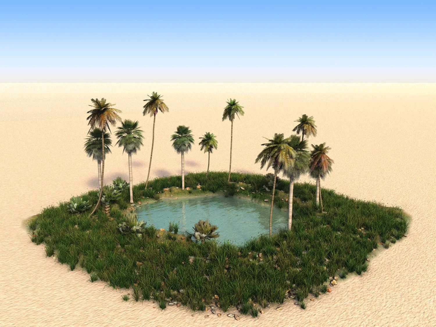 Green Oasis in the Desert