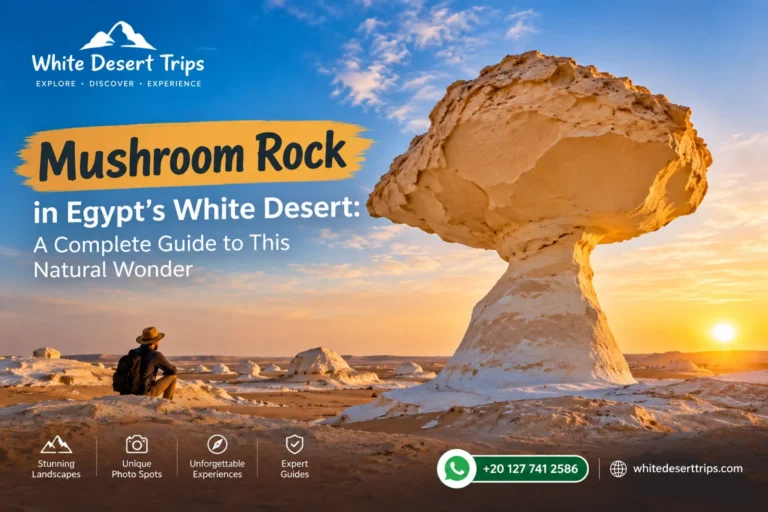 Mushroom Rock