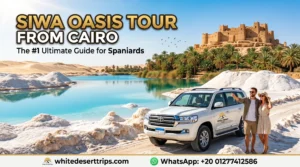 Siwa Oasis tour from Cairo