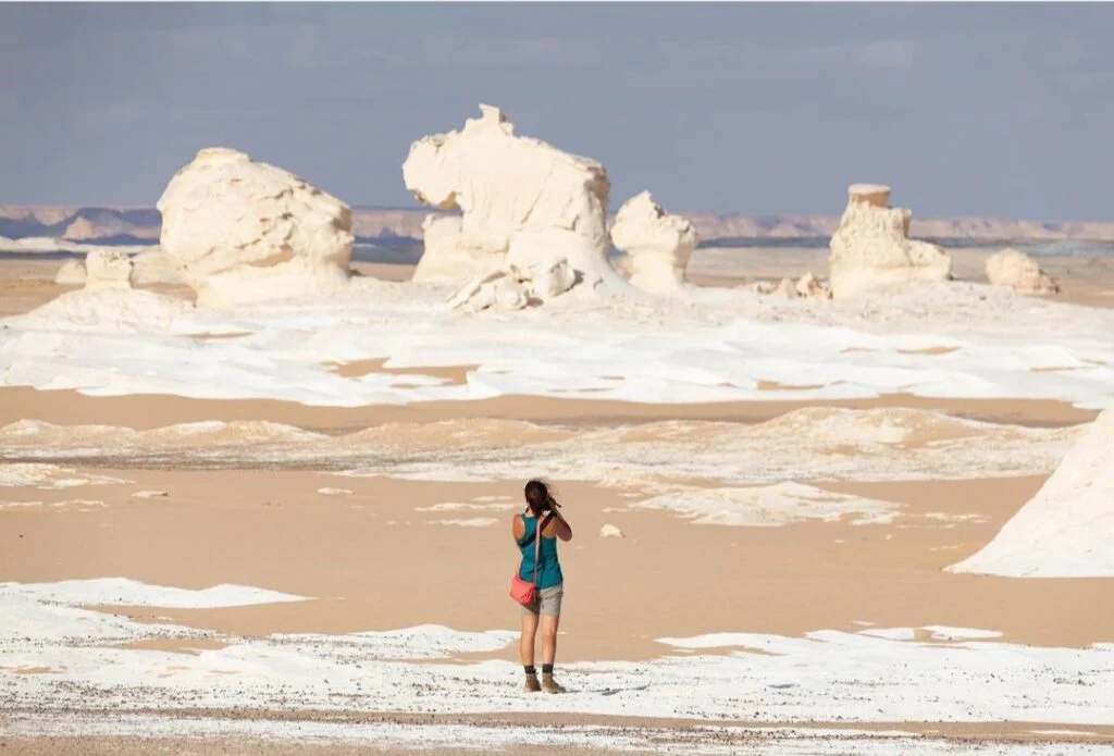 Best program for the White Desert